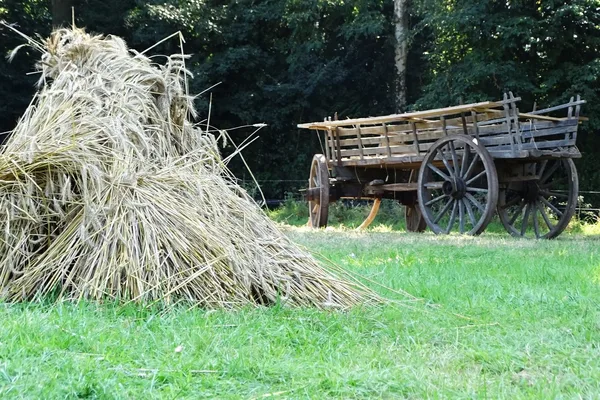 boerenwagen