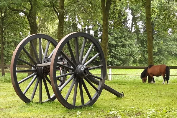 Bij Engbers in Saasveld