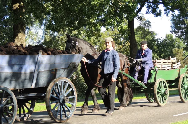Boerenoptocht Oudehorne  -Nieuwehorne Flaeijelfeest